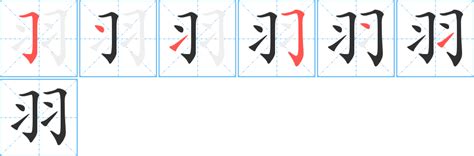 羽字邊的字|部首為羽的字